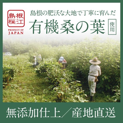 桑の葉専門店 桜江町桑茶生産組合 / 有機桑青汁 3g×90包入